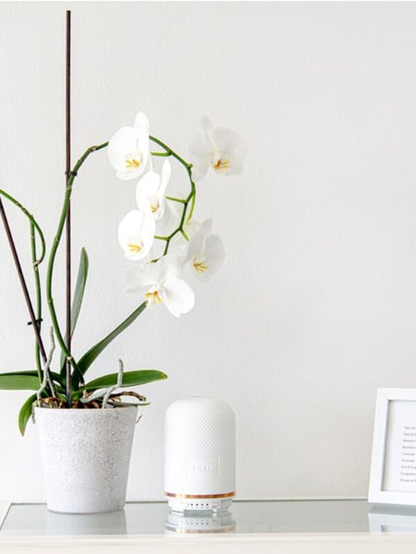 St Mawes Dental Gallery Image