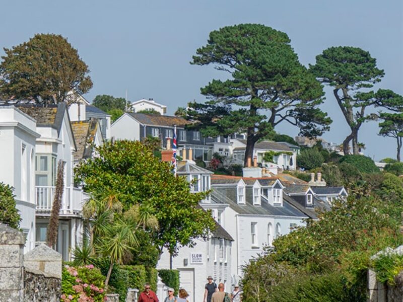 St Mawes Dental Gallery Image
